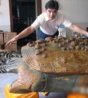重达一吨以上 “中国砚都＂的＂中国第一砚龟”